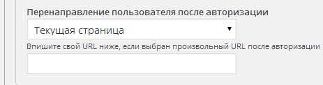 2014-07-07 20-04-14 НАСТРОЙКИ ‹ Плагины WordPress, разработка и продажа. — WordPress - Google Chrome