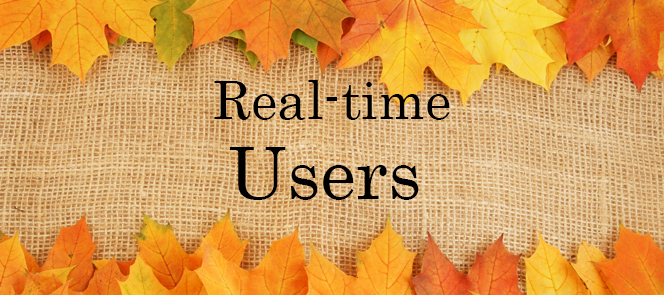 Real Time Users